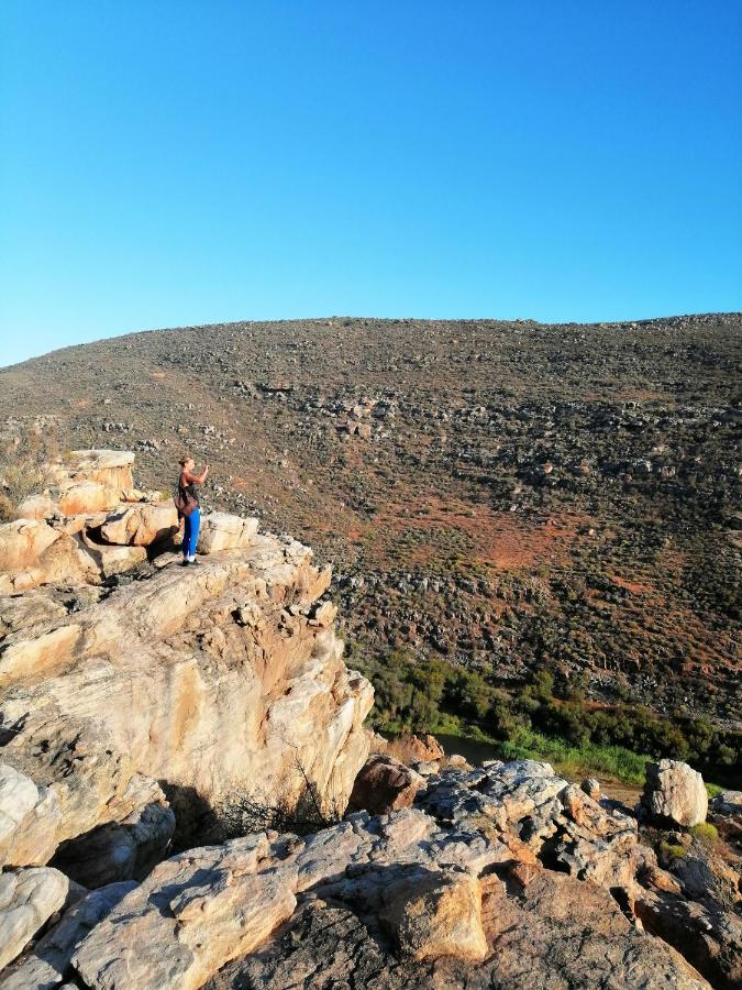 Oudrif Farm Villa Clanwilliam Eksteriør bilde