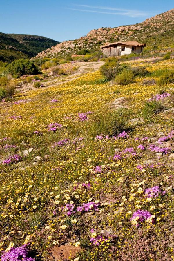 Oudrif Farm Villa Clanwilliam Eksteriør bilde