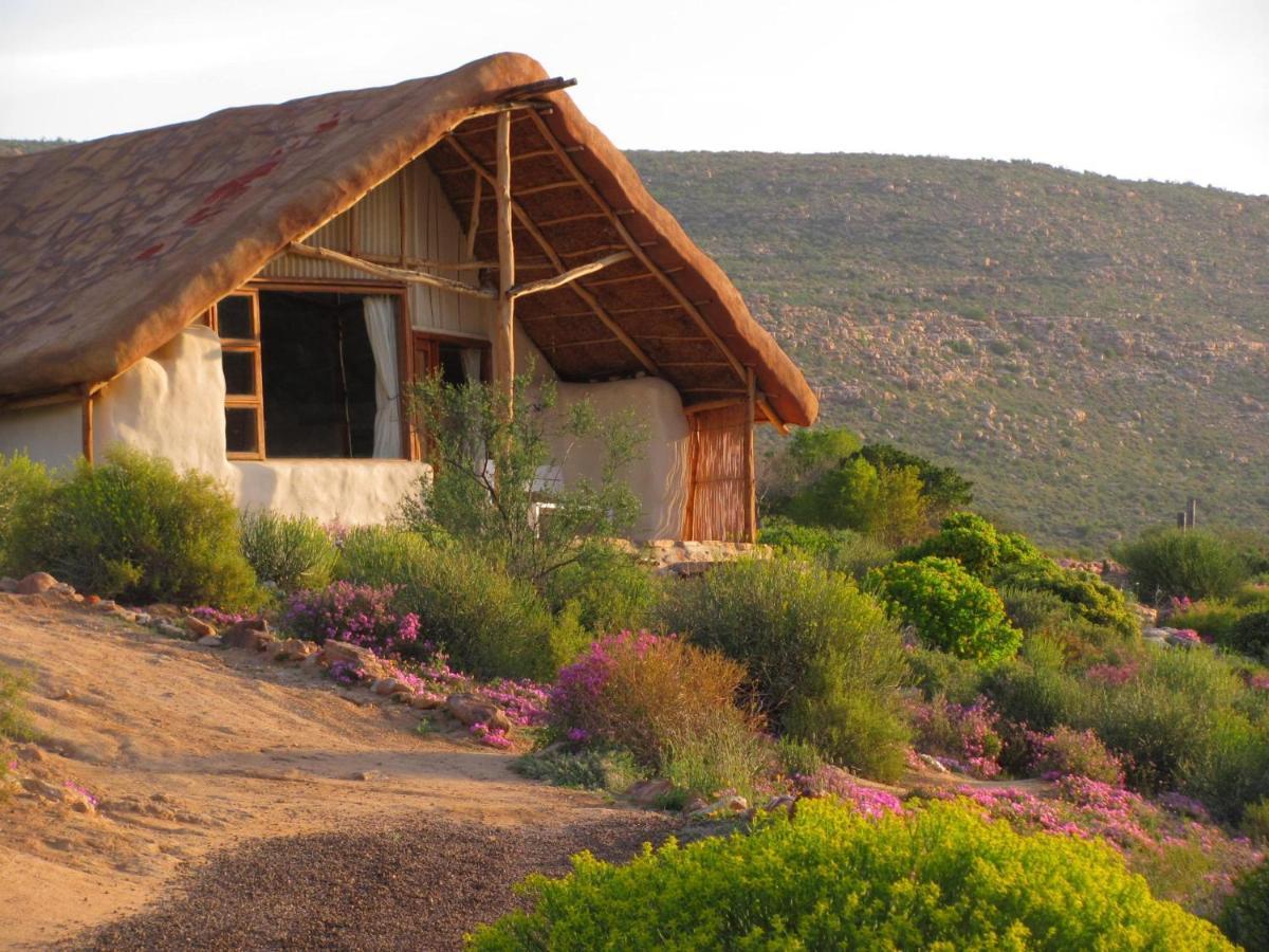 Oudrif Farm Villa Clanwilliam Eksteriør bilde