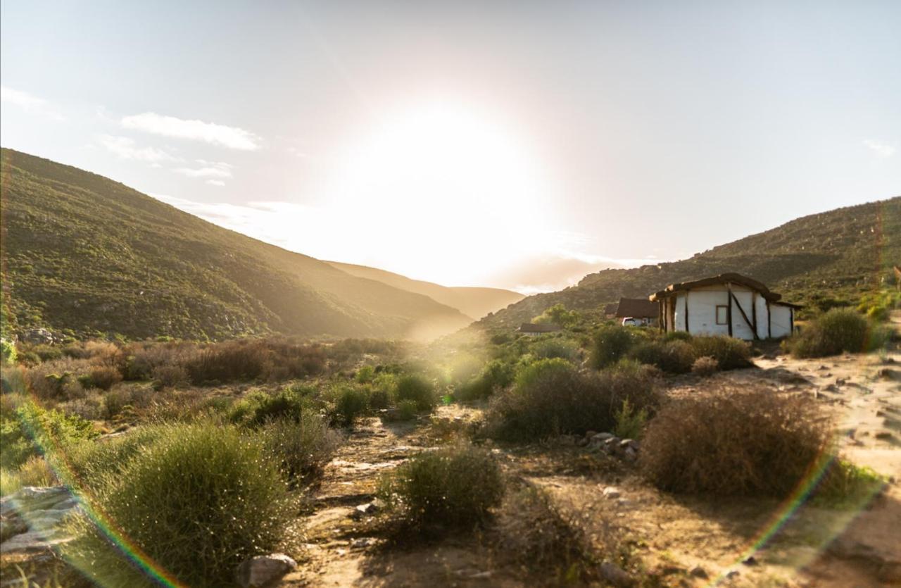 Oudrif Farm Villa Clanwilliam Eksteriør bilde