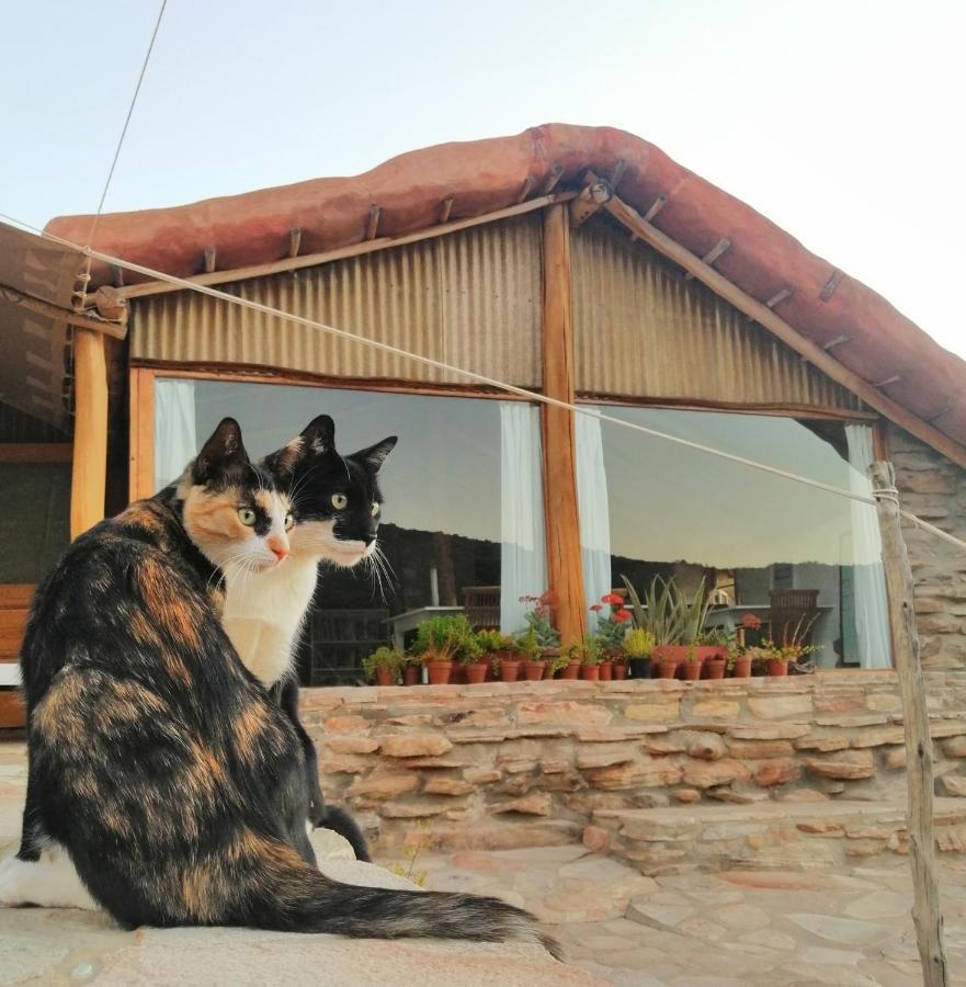Oudrif Farm Villa Clanwilliam Eksteriør bilde