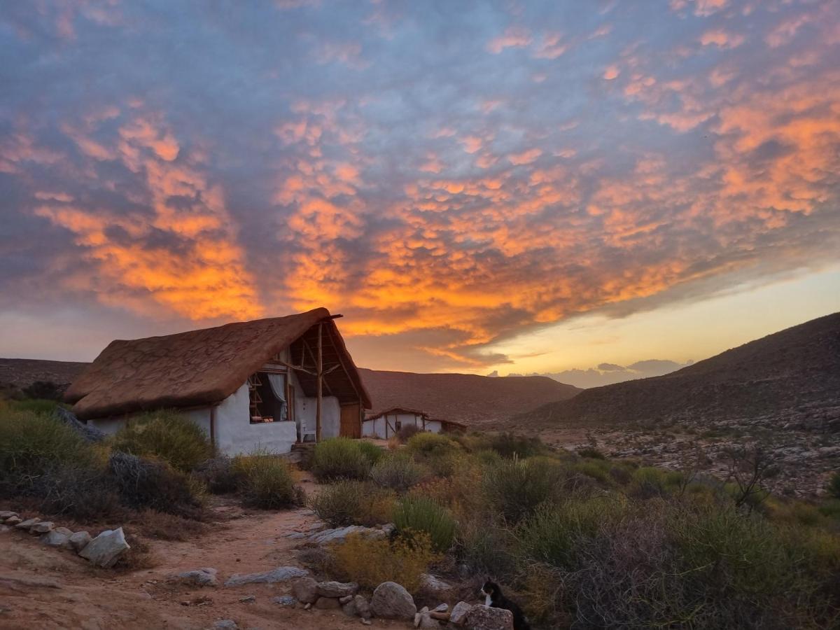 Oudrif Farm Villa Clanwilliam Eksteriør bilde